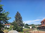 Olešná