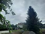 Olešná