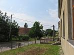 Třibřichy