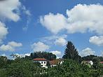 Olešná