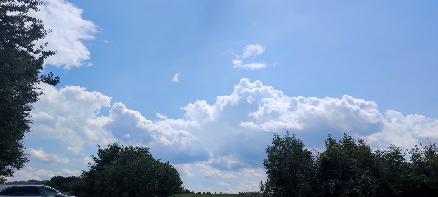 Rybí