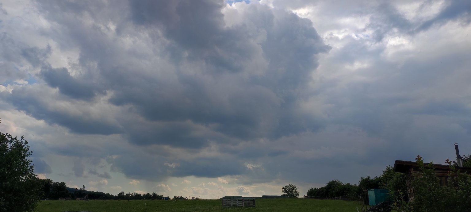 Rybí
