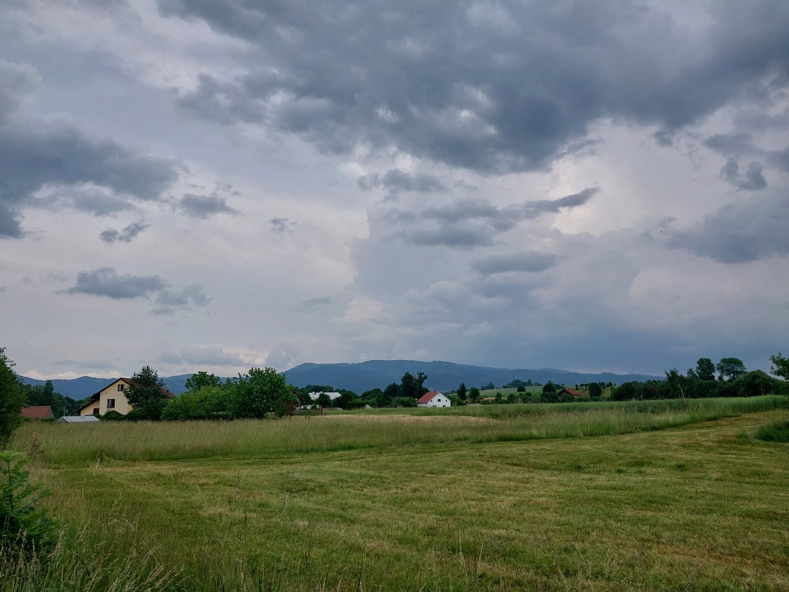Bocanovice