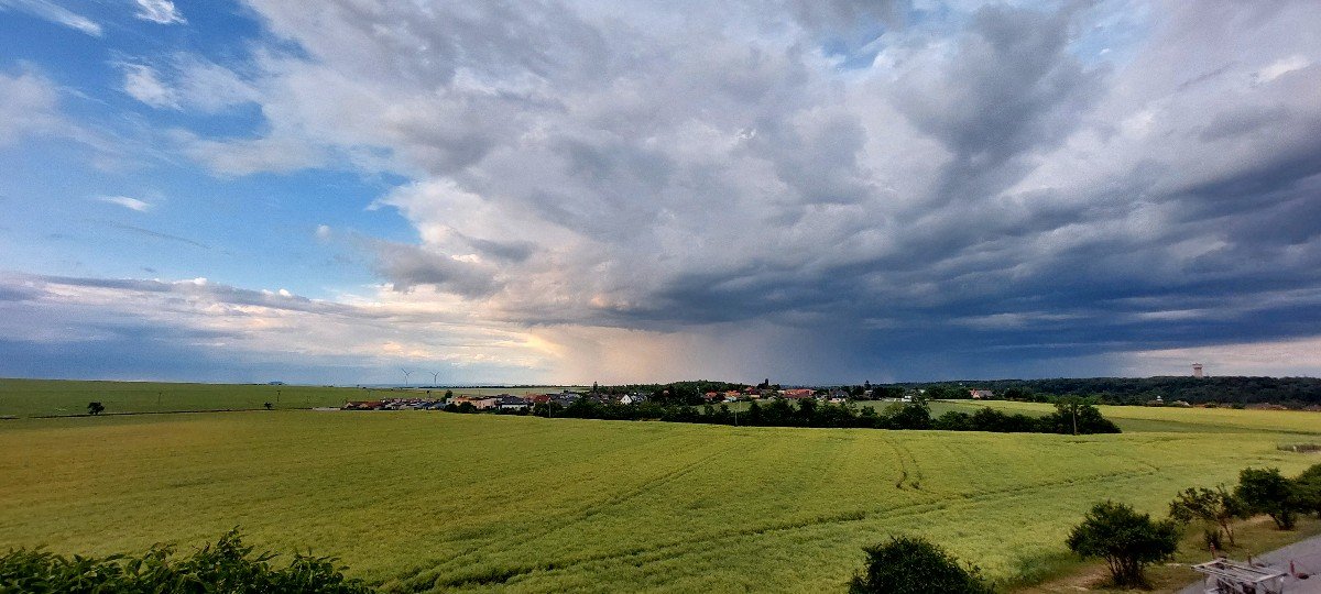 Vinařice