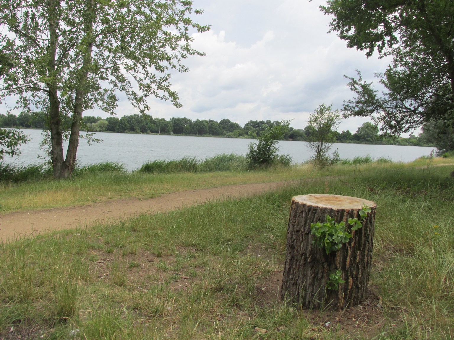 Neratovice