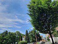 Jihlava