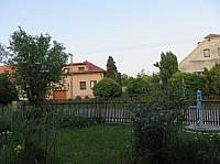Třibřichy