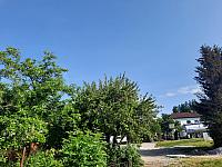 Olešná
