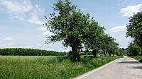 Lukovany