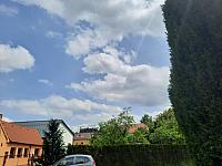 Olešná