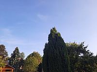 Olešná