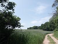 Lukovany