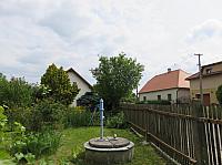 Třibřichy
