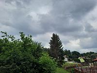 Olešná