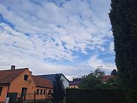 Olešná