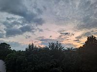 Olešná