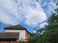 Olešná