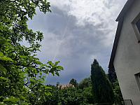 Olešná