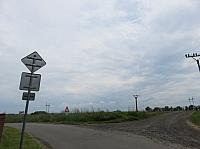 Třibřichy
