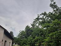 Olešná