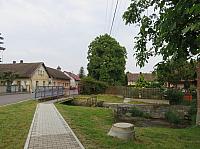 Třibřichy