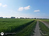 Fotografie