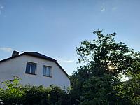 Olešná