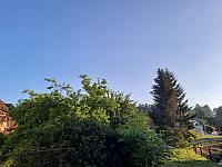 Olešná