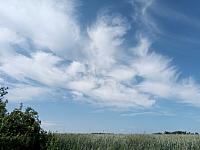 Lukovany
