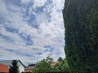 Olešná