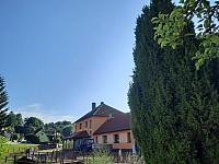 Olešná