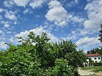Olešná