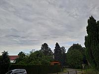 Olešná