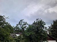 Olešná