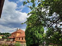 Olešná