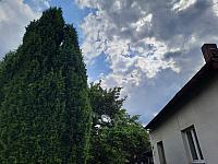 Olešná