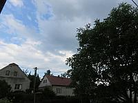 Třibřichy