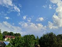 Olešná