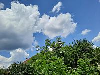 Olešná