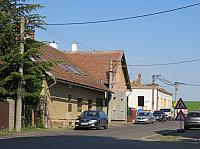 Třibřichy