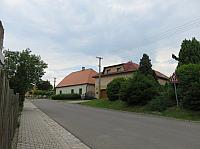 Třibřichy