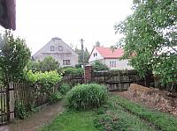 Třibřichy