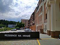 Borovina