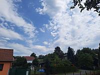 Olešná