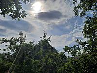 Olešná