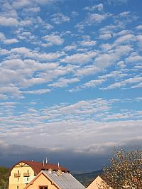 Hvozdnica