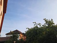 Olešná