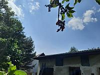 Olešná
