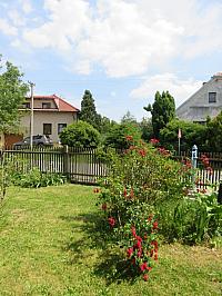 Třibřichy