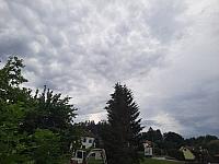 Olešná
